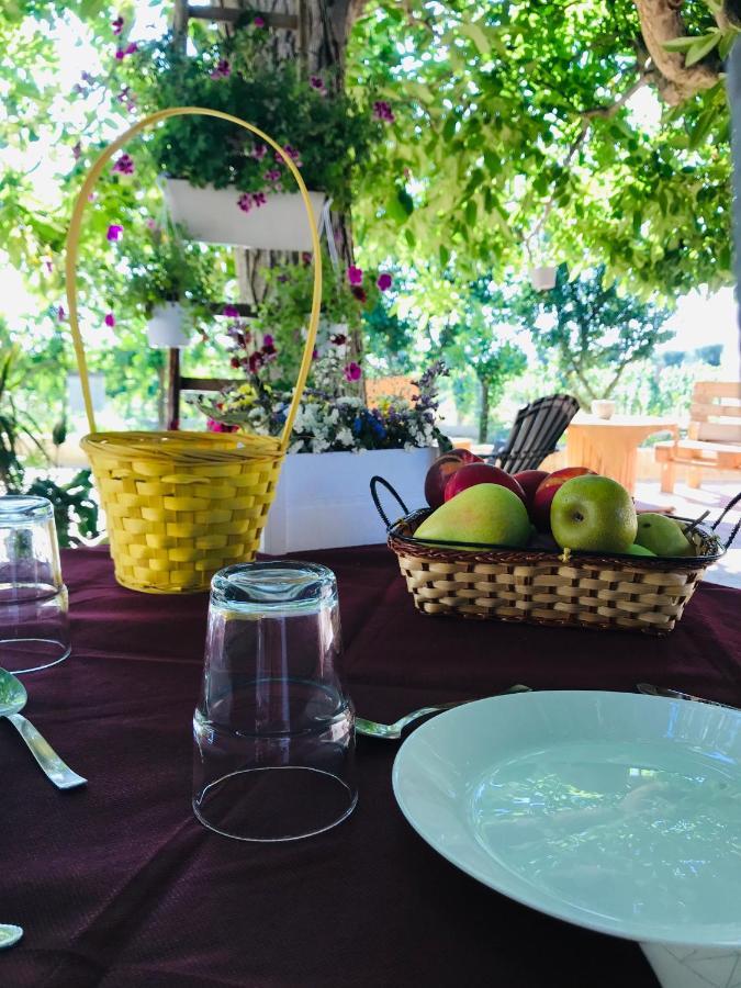 Tenuta Vigna Del Noce Corato Zewnętrze zdjęcie