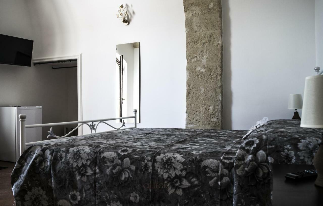 Tenuta Vigna Del Noce Corato Zewnętrze zdjęcie