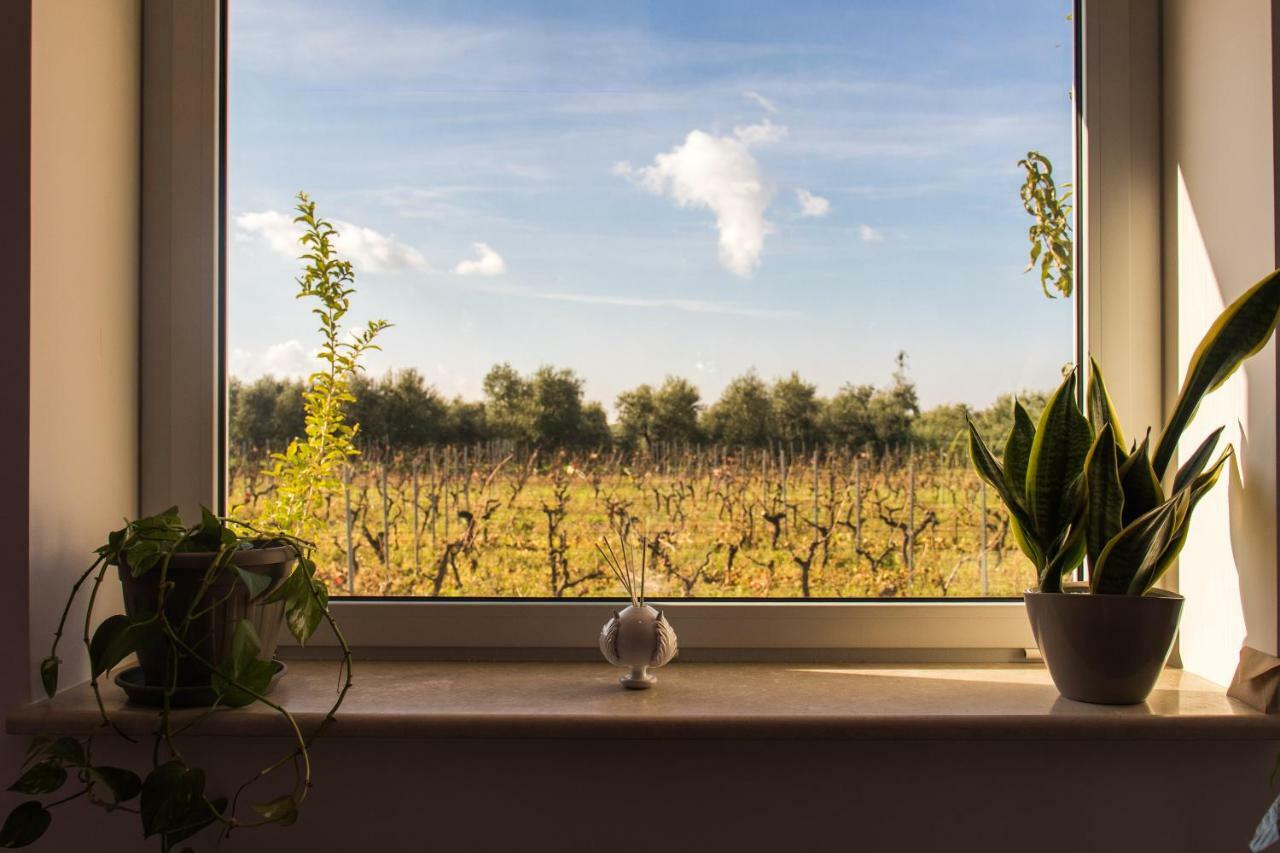 Tenuta Vigna Del Noce Corato Zewnętrze zdjęcie
